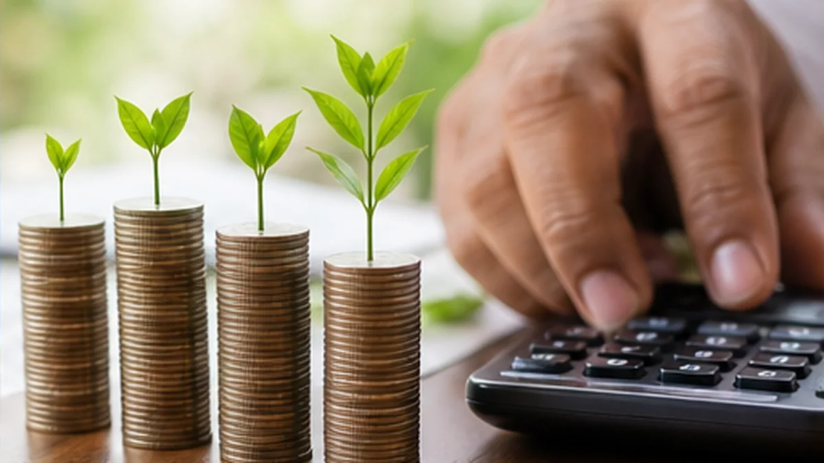 How to use the Compound Interest Calculator